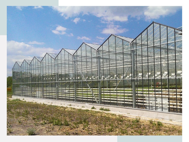 Строительство теплиц в Вязники от 641 руб. за м²